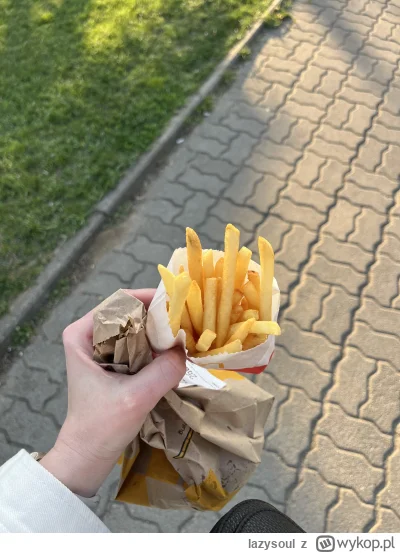 lazysoul - Frytki na wynos dzisiaj towarzyszą mi