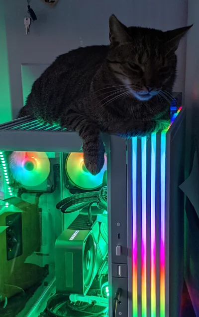 FLAC - #pokazkota #koty #komputery #pcmasterrace

Kot się ładuje RGB żeby być śliczny...