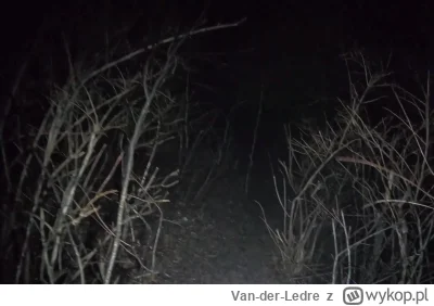 Van-der-Ledre - Nie ma tu kompletnie nic ani nikogo, wilki podobnie jak i ludzie, maj...