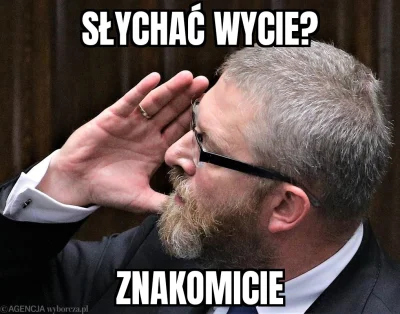 120DniSodomy - #konfederacja #polaka #sejm #bekazpisu 

Ale wykopki się zesrały na wi...