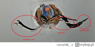 carryON_ - Chcę w salonie wymienić włącznik ze zwykłego na dwuguzikowy Aqara: uwaga c...