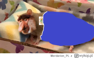 Merdarion_PL - @Zi3L0nk4: zima idzie, pod koc trzeba.