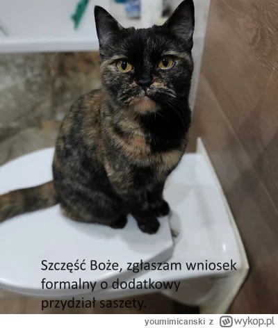 youmimicanski - #koty #pokazkota #kotniemoj