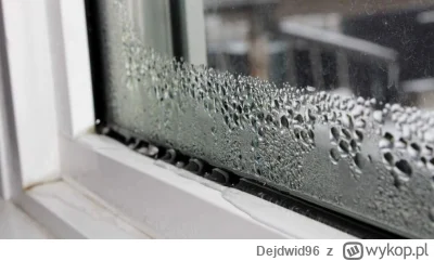 Dejdwid96 - [Skraplająca się woda na oknie, w czasie dużej różnicy temperatur ]    
 ...