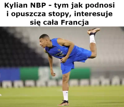 pogop - #heheszki #humorobrazkowy #pogopsuszy #suchar #pilkanozna #euro2024 #francja ...