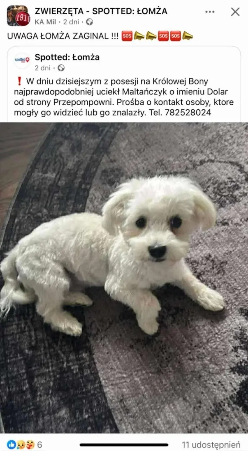 UczesanyPedryl - Dolar Od Strony Przepompowni pseudo "Łomża".
#limanowa #fredikamionk...