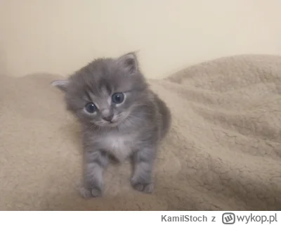 KamiIStoch - Moja Marusia ładniejsza