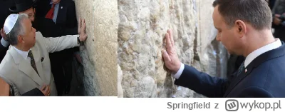 Springfield - @pdt_87: Kaczyńscy są w loży B'nai B'rith, tak jak Dudu, Macierewicz i ...