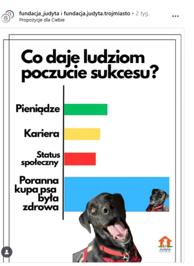 xloginlogin123 - Wypełnia me serce radością xD

#psiarze