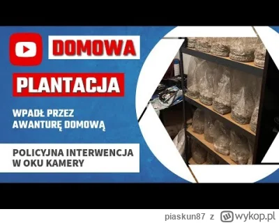 piaskun87 - Piękna interwencja XD
#policja #wroclaw #bekazpodludzi