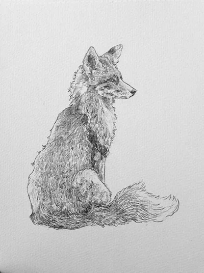 m8o7 - szczwane to wszystko