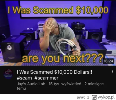 pywc - No tak, bo oryginalne to nie scam ( ͡° ͜ʖ ͡°) #audiovoodoo