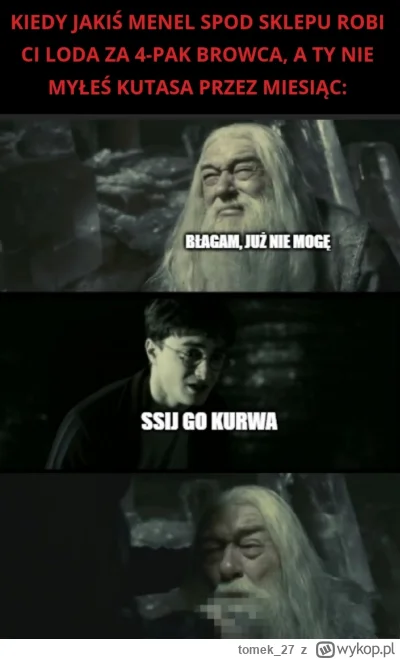 tomek_27 - #harrypotter