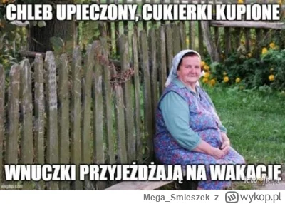 Mega_Smieszek