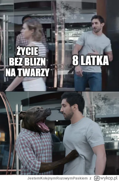 JestemKolejnymRozowymPaskiem - #psiarze #psy #humorobrazkowy #puszekniegryzie #hehesz...