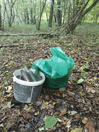 Dobry_Gospodarz - 313/1000l szkla wyniesionego z lasu

Przy okazji worek 80l innych ś...