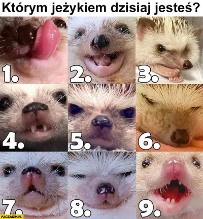 wfyokyga - Formularz ankietowany