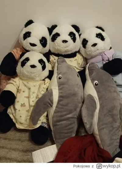 Pokojowa - @remlezar Dobranoc Panie Remlezar!