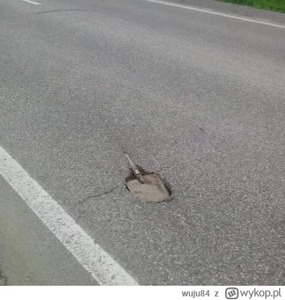 wuju84 - Ekskalibur rodem z Podlasia 
#heheszki