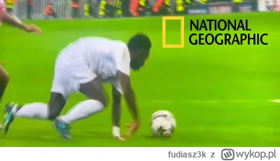 fudiasz3k - @Minieri