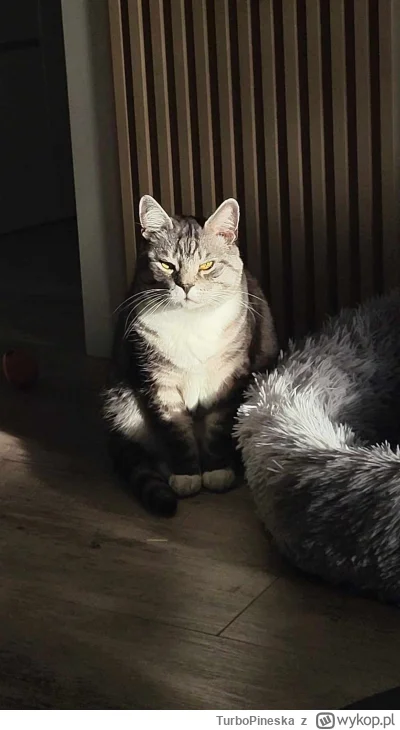 TurboPineska - @eaxata dzięki