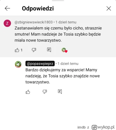 imdb - frajer juz szuka sponsora do nastepnej surykatki #raportzpanstwasrodka
