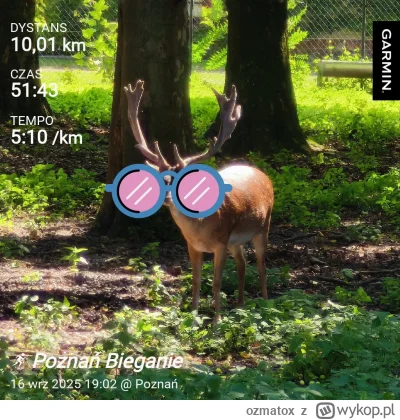 ozmatox - 12 933,68 - 10,01 = 12 923,67

Coraz bliżej granicy 50min a jednak jeszcze ...