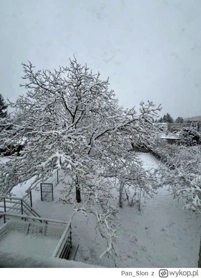 Pan_Slon - No ładnie sypie 

#poznan