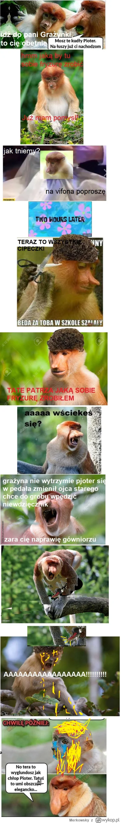 Merkowsky - #konkursnanajbardziejgownianymemznosaczem