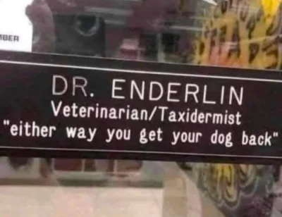 cheeseandonion - #zzr  #