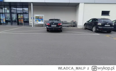 WLADCA_MALP - #zgierzeta #elzera #bekazpodludzi