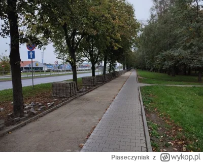 Piaseczyniak - #piaseczno

Wzdłuż Okulickiego w Piasecznie zwijają chodnik i prawdopo...