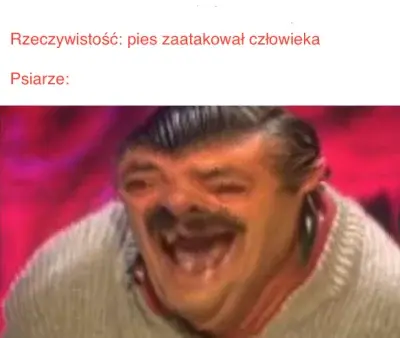 Handstander12 - #przegryw #psy #psiarze