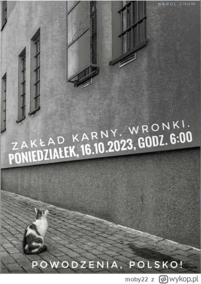 moby22 - #wybory #bekazpisu #tvpis #heheszki #polska