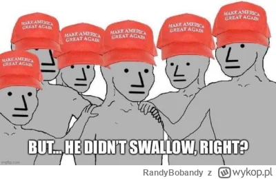 RandyBobandy - #usa ( ͡° ͜ʖ ͡°)