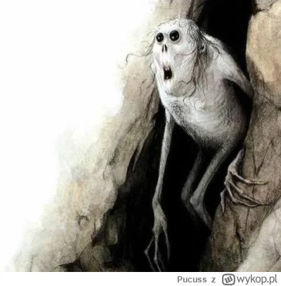 Pucuss - Wychodzą 
#f1