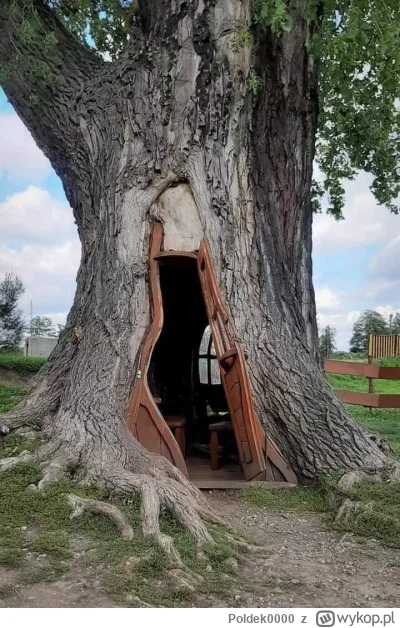 Poldek0000 - #patodeweloperka ponoć niedaleko #gliwice ...