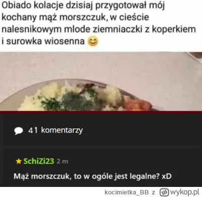 kocimietka_BB - #p0lka #heheszki #logikarozowychpaskow #gotujzwykopem #grazynacore #f...