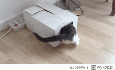 jaco666b - @wfyokyga