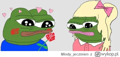 M.....n - szara myszka dla anonka szukaj