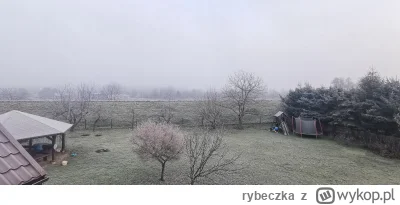 rybeczka - #dziendobry #krakow
Witam Wszystkich zamrożonych chociaż zima w tym roku ł...