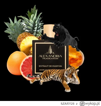 SZARY28 - #perfumy #rozbiorka

Rozleje Alexandria Fragrances Black Panther - najmocni...