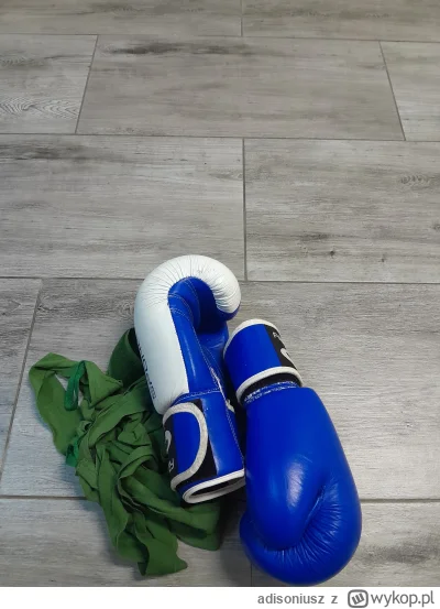 adisoniusz - Wieczorne walenie wora odbyte