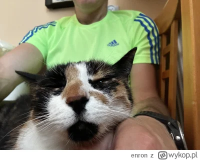 enron - zapomniałbym - jedna z przyczyn późnego wychodzenia (｡◕‿‿◕｡)