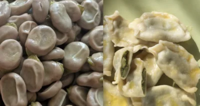 acpiorundc - Zaczyna się sezon na bób. Zróbcie z bobu pierogi. To jest ambrozja :) ht...