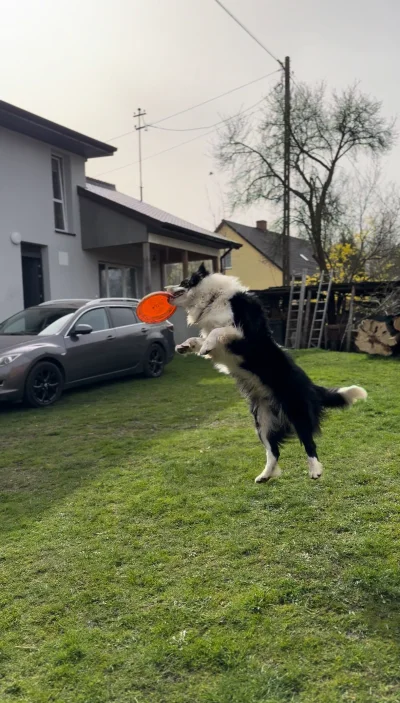 wredny_barteK - Pozdo