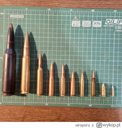 uirapuru - Od lewej: 14.5mm, 12.7x99mm, .338 Lapua Magnum, 7.62x54R, .308 Winchester,...