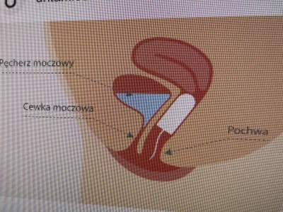 lajsta77 - @kopytakonia: mozna, tampon nie zatyka cewki no sewer tylko pochwe