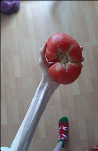 Ksemidesdelos - kolacja do oceny

#mirkokoksy #jedzzwykopem