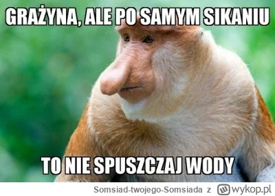 Somsiad-twojego-Somsiada - Memy o Januszu